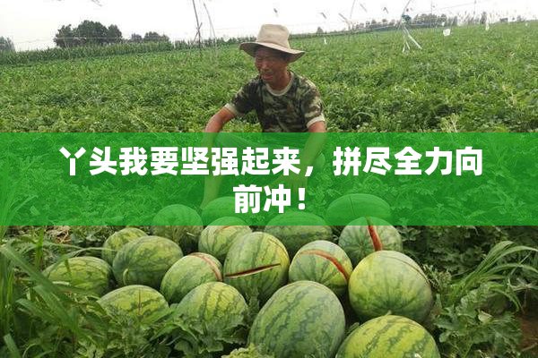 丫头我要坚强起来，拼尽全力向前冲！