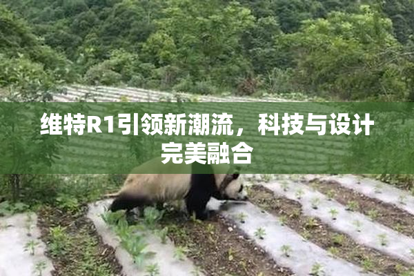 维特R1引领新潮流，科技与设计完美融合