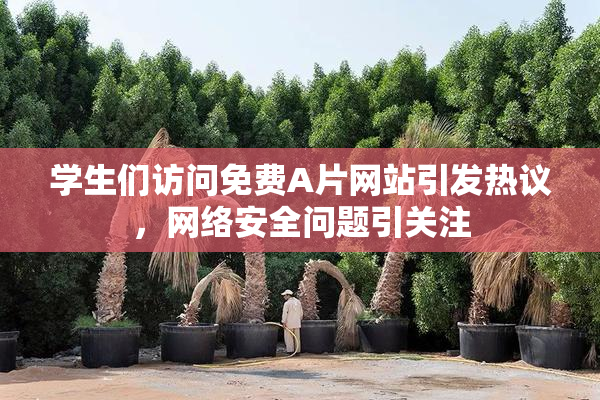 学生们访问免费A片网站引发热议，网络安全问题引关注