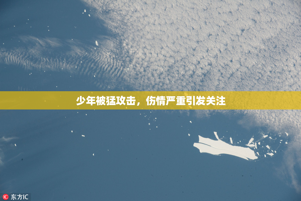 少年被猛攻击，伤情严重引发关注