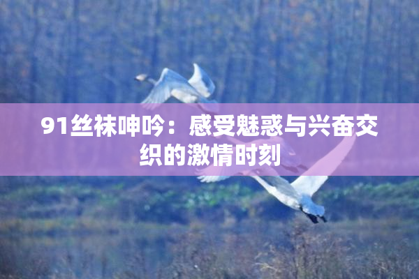 91丝袜呻吟：感受魅惑与兴奋交织的激情时刻