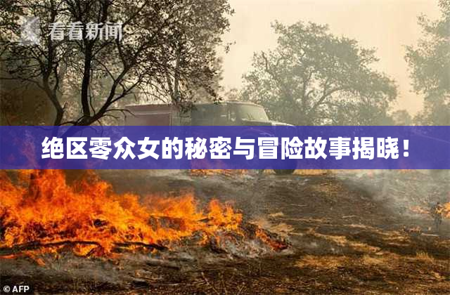 绝区零众女的秘密与冒险故事揭晓！