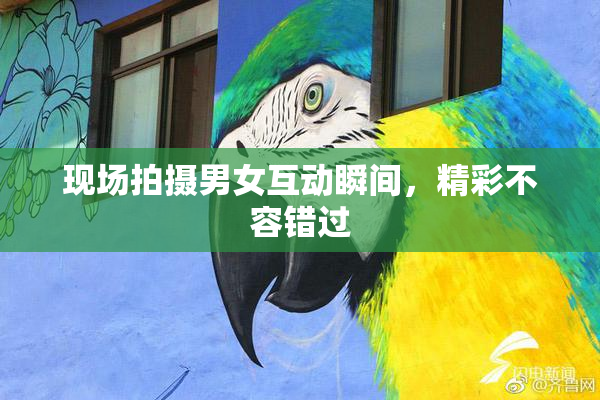 现场拍摄男女互动瞬间，精彩不容错过