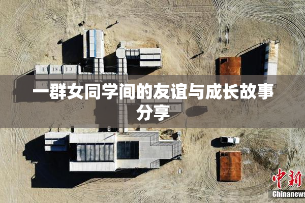 一群女同学间的友谊与成长故事分享
