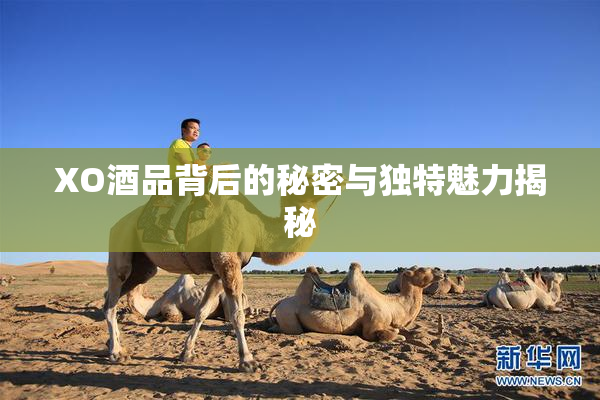 XO酒品背后的秘密与独特魅力揭秘