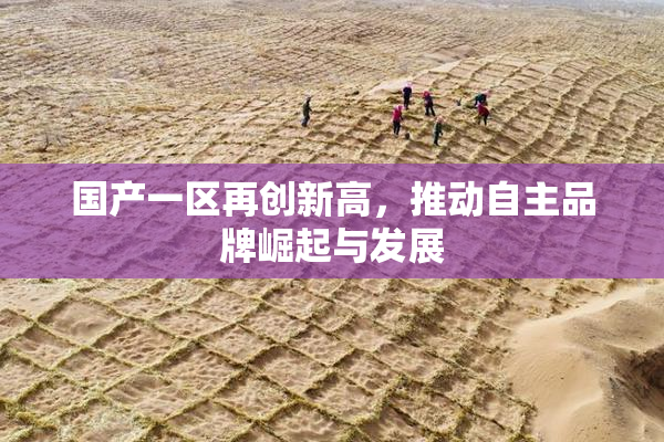 国产一区再创新高，推动自主品牌崛起与发展