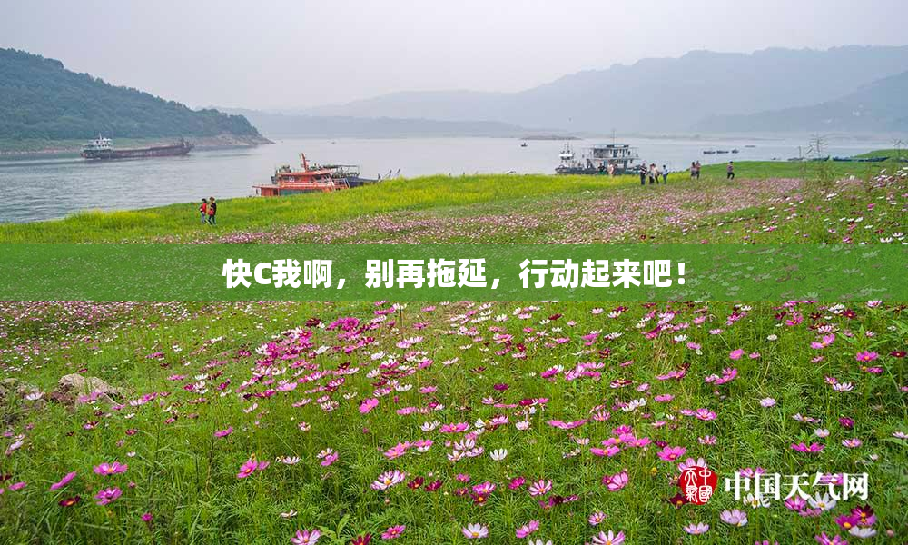 快C我啊，别再拖延，行动起来吧！