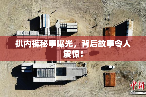 扒内裤秘事曝光，背后故事令人震惊！