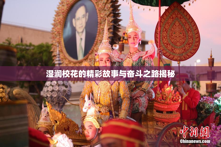 湿润校花的精彩故事与奋斗之路揭秘