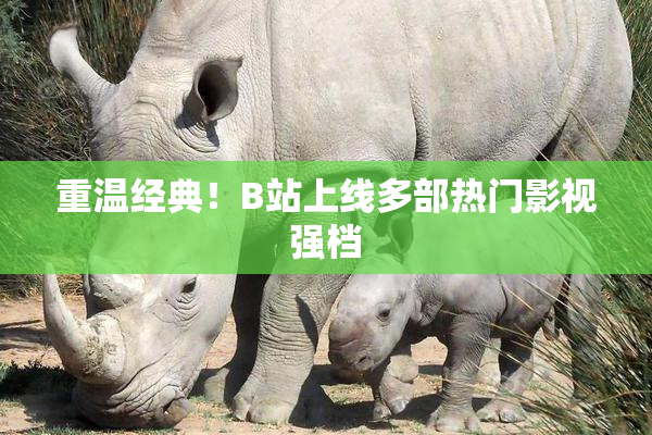 重温经典！B站上线多部热门影视强档