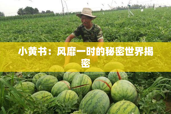 小黄书：风靡一时的秘密世界揭密