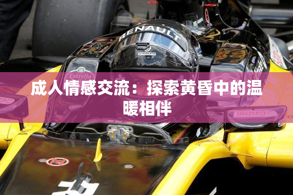 成人情感交流：探索黄昏中的温暖相伴