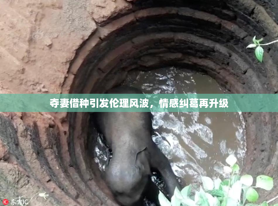 夺妻借种引发伦理风波，情感纠葛再升级