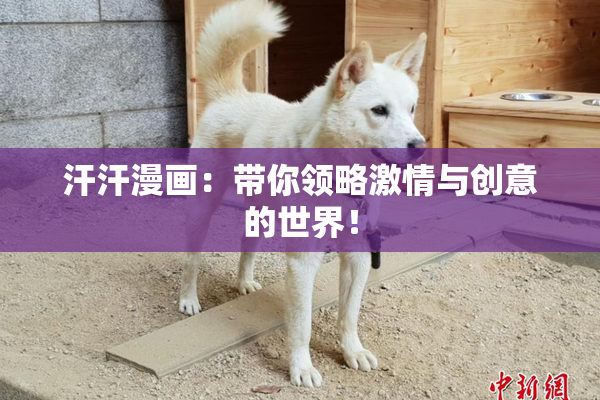 汗汗漫画：带你领略激情与创意的世界！