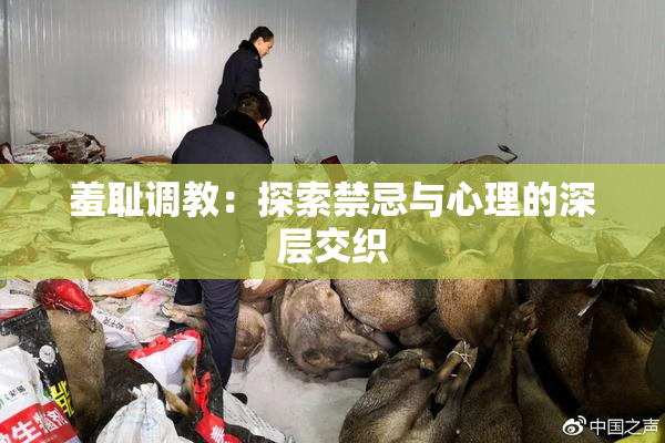 羞耻调教：探索禁忌与心理的深层交织