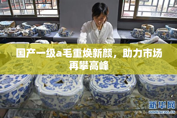 国产一级a毛重焕新颜，助力市场再攀高峰