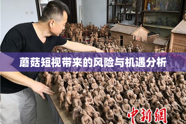 蘑菇短视带来的风险与机遇分析