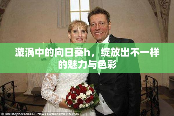 漩涡中的向日葵h，绽放出不一样的魅力与色彩