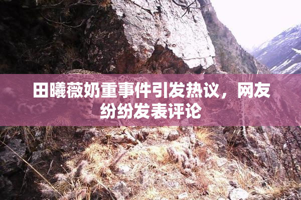 田曦薇奶重事件引发热议，网友纷纷发表评论