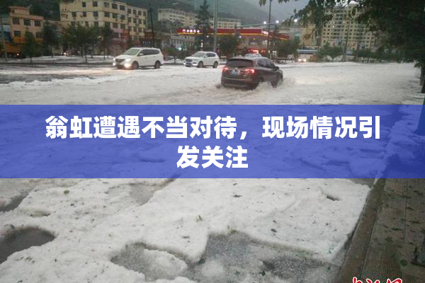 翁虹遭遇不当对待，现场情况引发关注