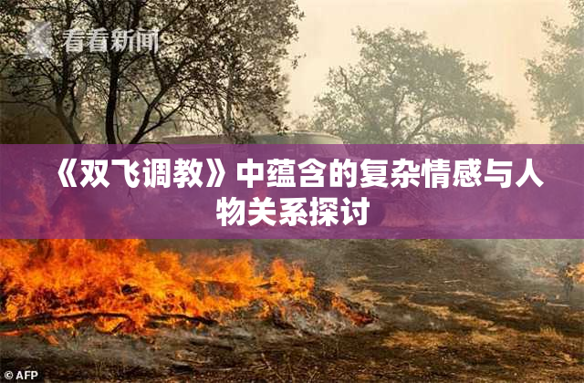 《双飞调教》中蕴含的复杂情感与人物关系探讨