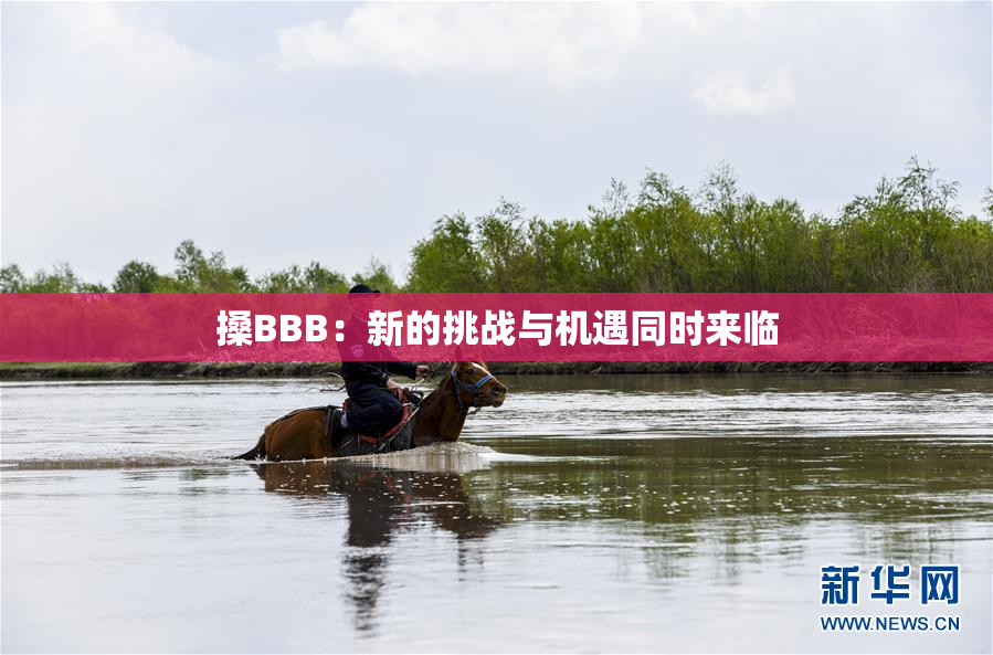 搡BBB：新的挑战与机遇同时来临