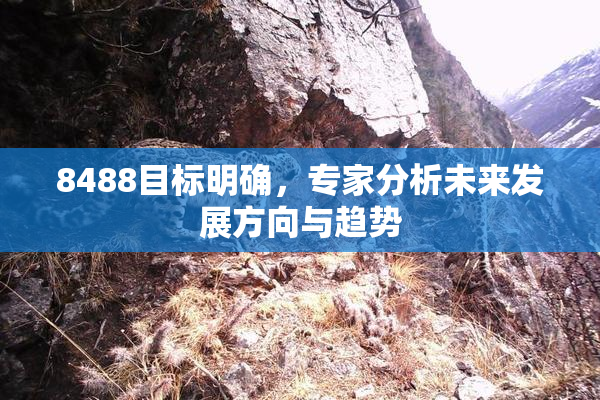 8488目标明确，专家分析未来发展方向与趋势