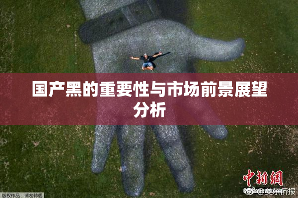 国产黑的重要性与市场前景展望分析
