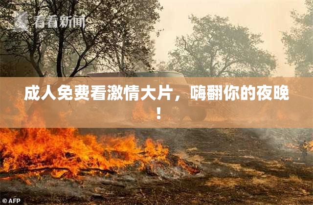 成人免费看激情大片，嗨翻你的夜晚！