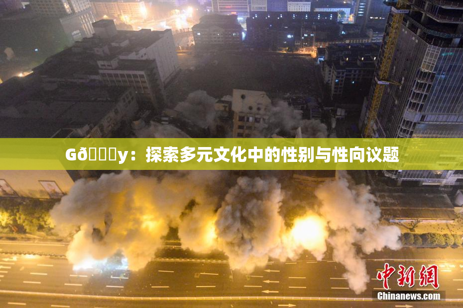 G🈚y：探索多元文化中的性别与性向议题