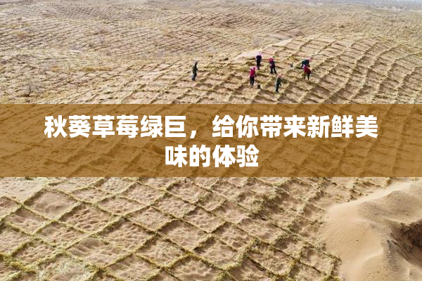 秋葵草莓绿巨，给你带来新鲜美味的体验