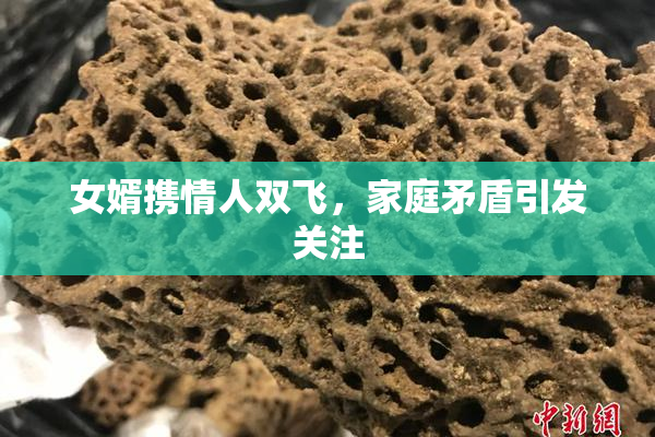女婿携情人双飞，家庭矛盾引发关注