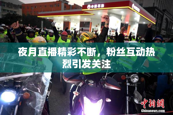 夜月直播精彩不断，粉丝互动热烈引发关注