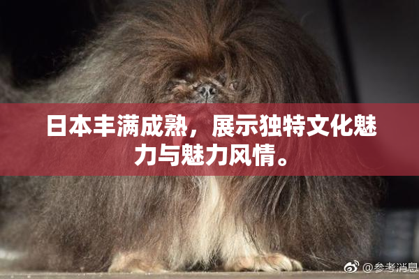 日本丰满成熟，展示独特文化魅力与魅力风情。