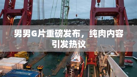 男男G片重磅发布，纯肉内容引发热议