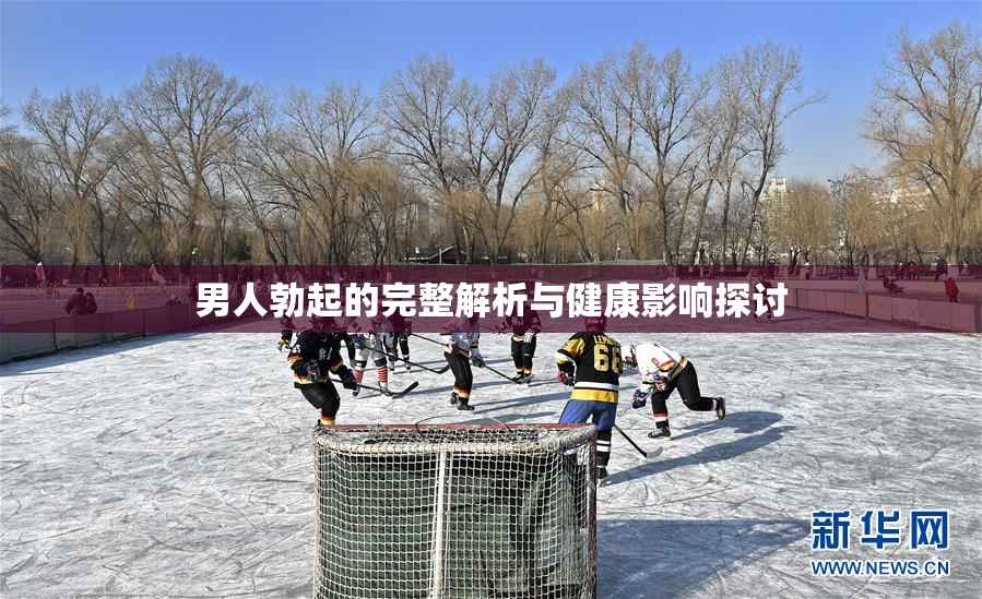 男人勃起的完整解析与健康影响探讨