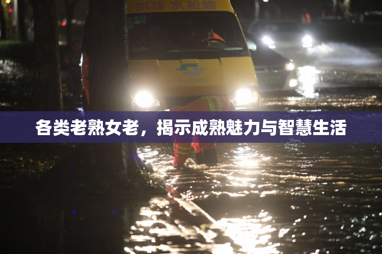 各类老熟女老，揭示成熟魅力与智慧生活
