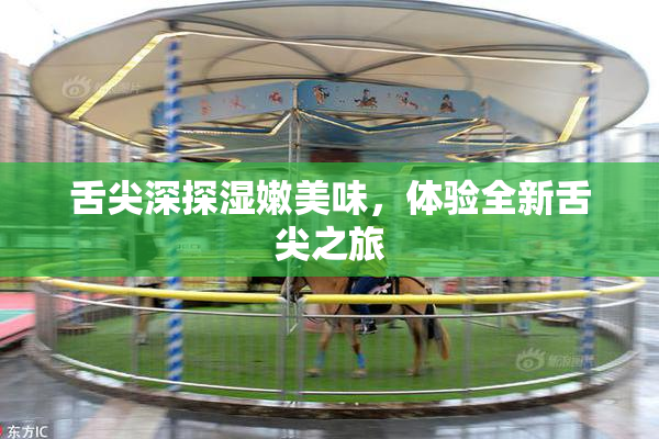 舌尖深探湿嫩美味，体验全新舌尖之旅