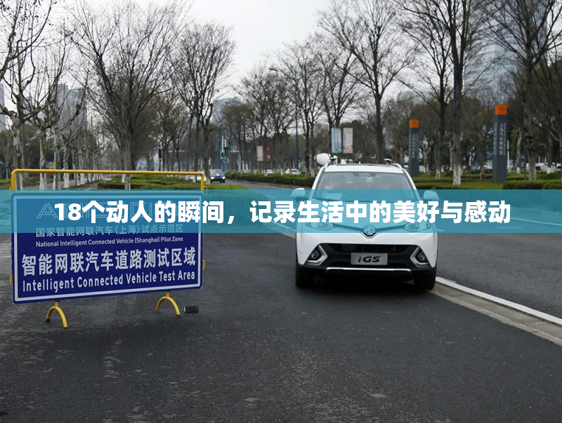 18个动人的瞬间，记录生活中的美好与感动