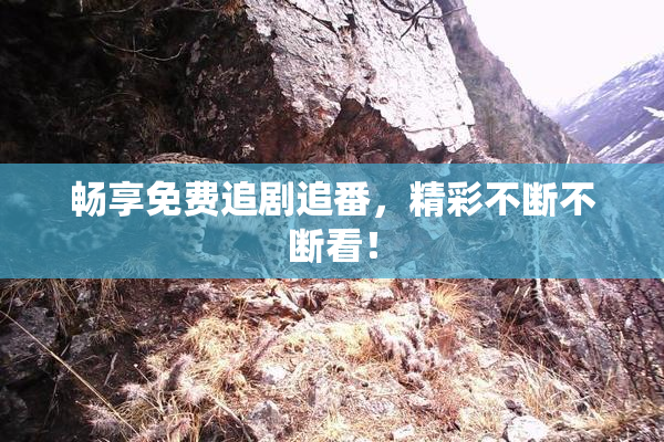 畅享免费追剧追番，精彩不断不断看！