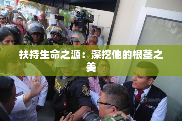扶持生命之源：深挖他的根茎之美