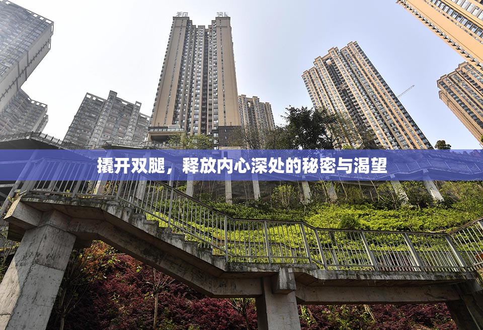 撬开双腿，释放内心深处的秘密与渴望
