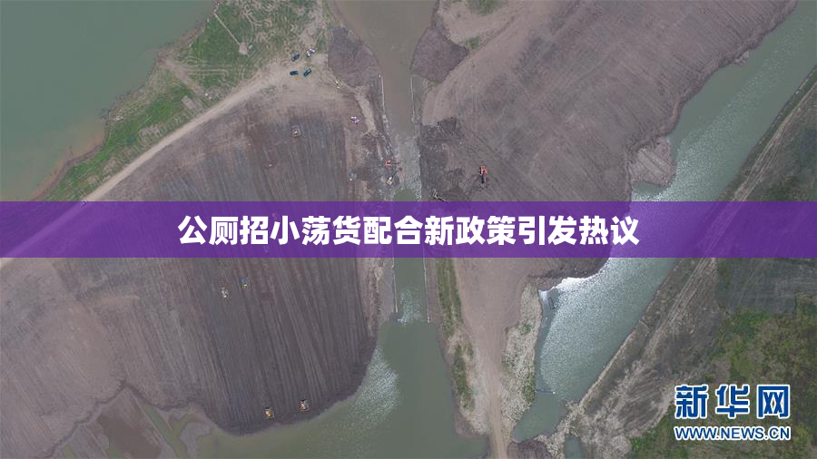 公厕招小荡货配合新政策引发热议