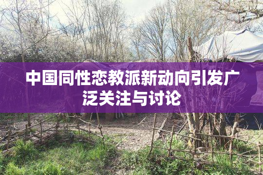 中国同性恋教派新动向引发广泛关注与讨论