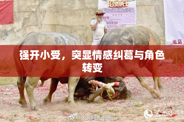 强开小受，突显情感纠葛与角色转变