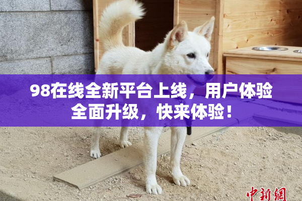 98在线全新平台上线，用户体验全面升级，快来体验！