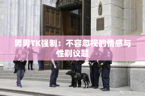 男男TK强制：不容忽视的情感与性别议题