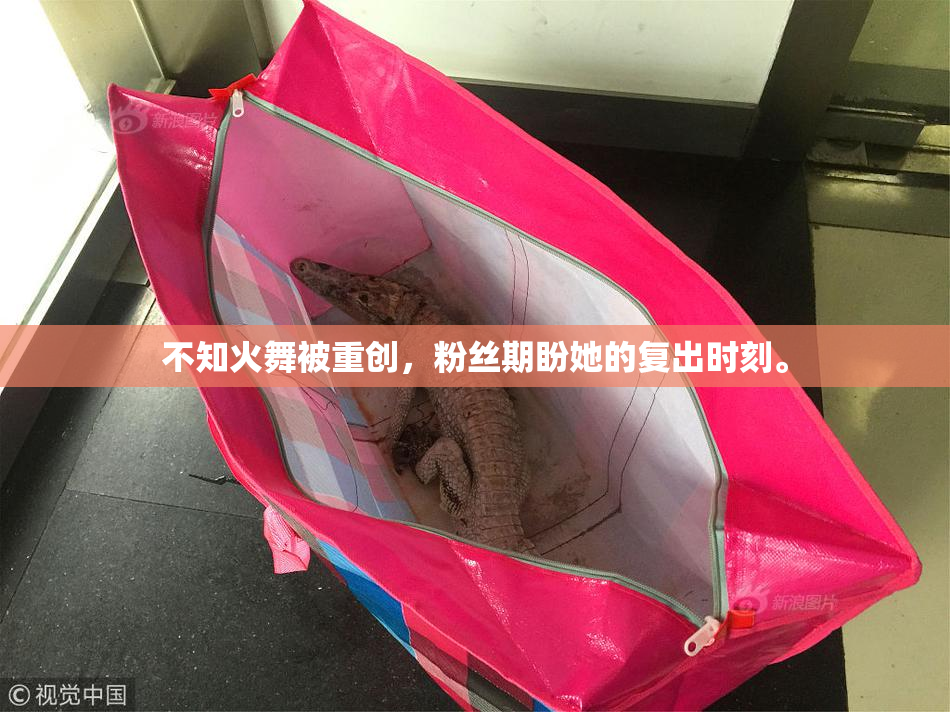 不知火舞被重创，粉丝期盼她的复出时刻。