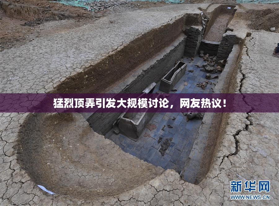猛烈顶弄引发大规模讨论，网友热议！