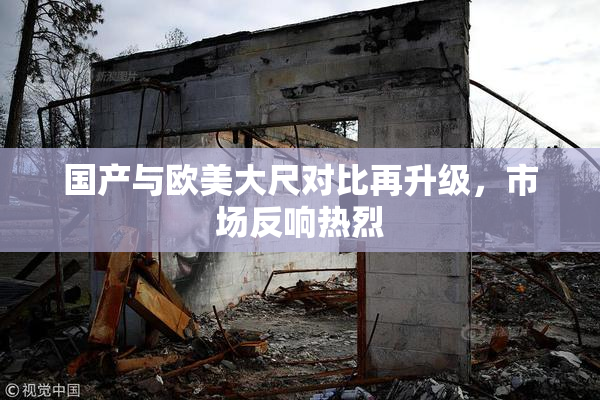 国产与欧美大尺对比再升级，市场反响热烈
